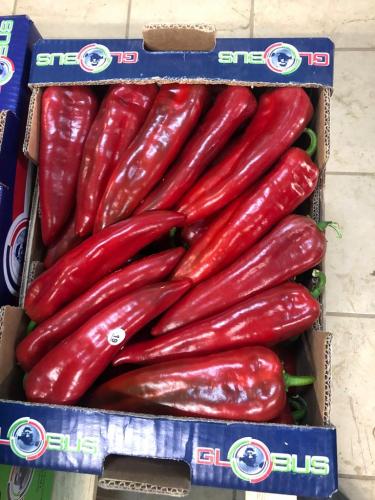 Globus Tarım Biber Paketleme (11)