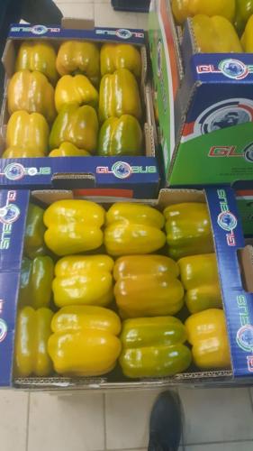 Globus Tarım Biber Paketleme (18)