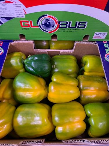 Globus Tarım Biber Paketleme (7)