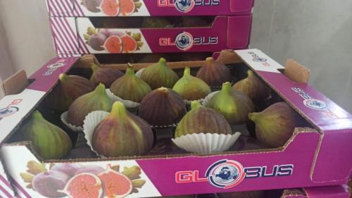 Globus Tarım İncir Paketleme (14)