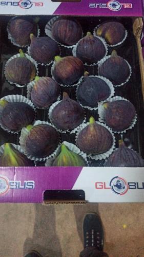 Globus Tarım İncir Paketleme (16)