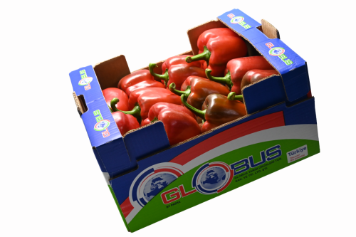 Globus Tarım Biber Paketleme