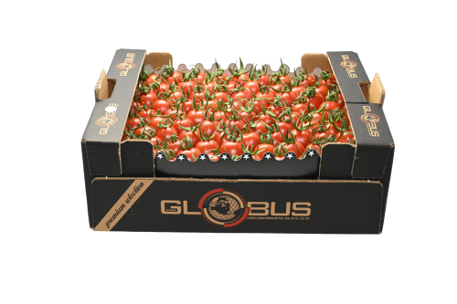Globus Tarım Domates Paketleme