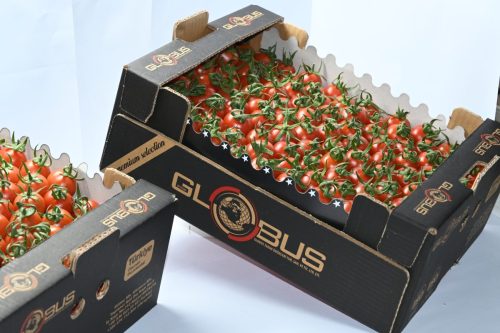 Globus Tarım Domates Paketleme